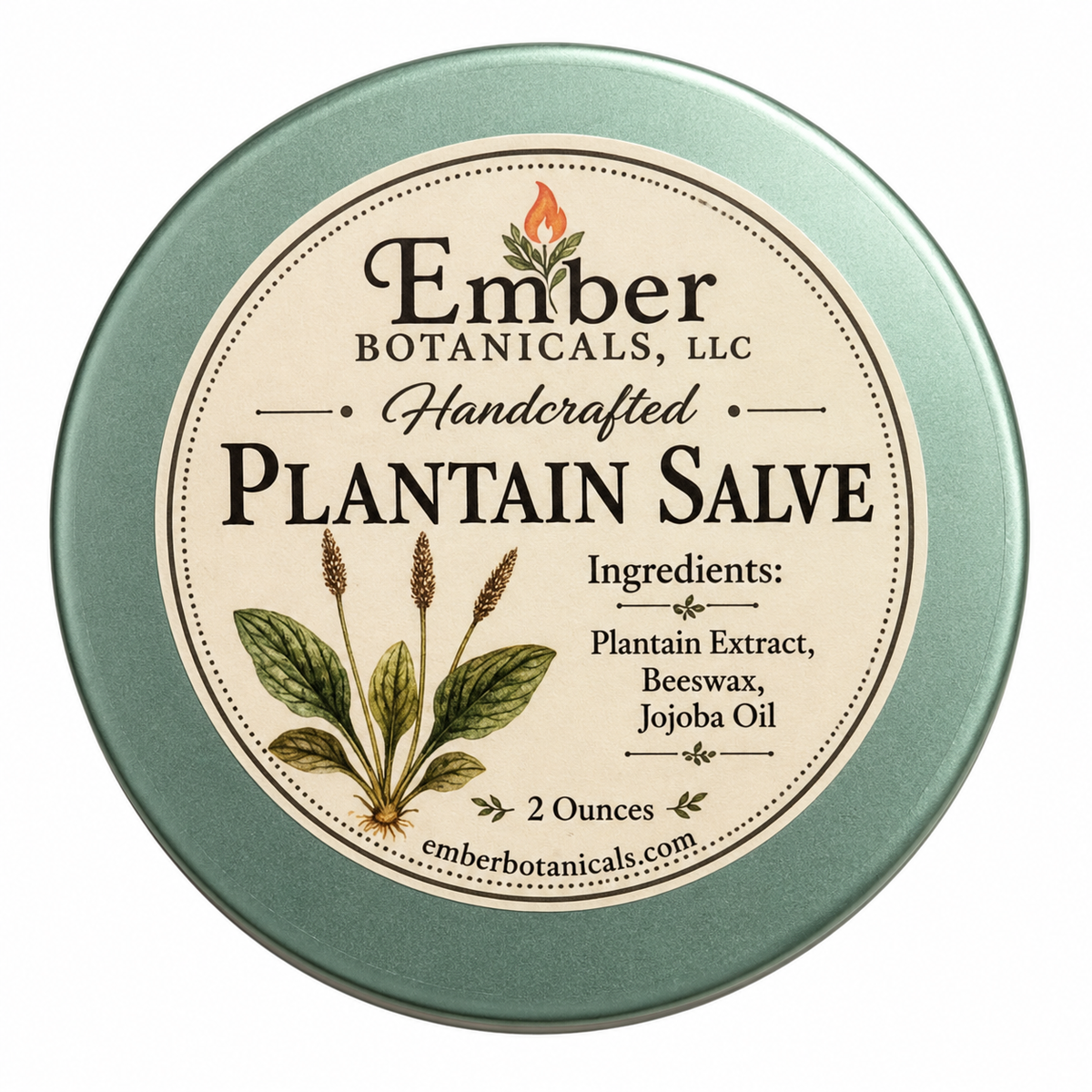 Plantain Salve – Handcrafted Botanical Skin Care – 2 oz