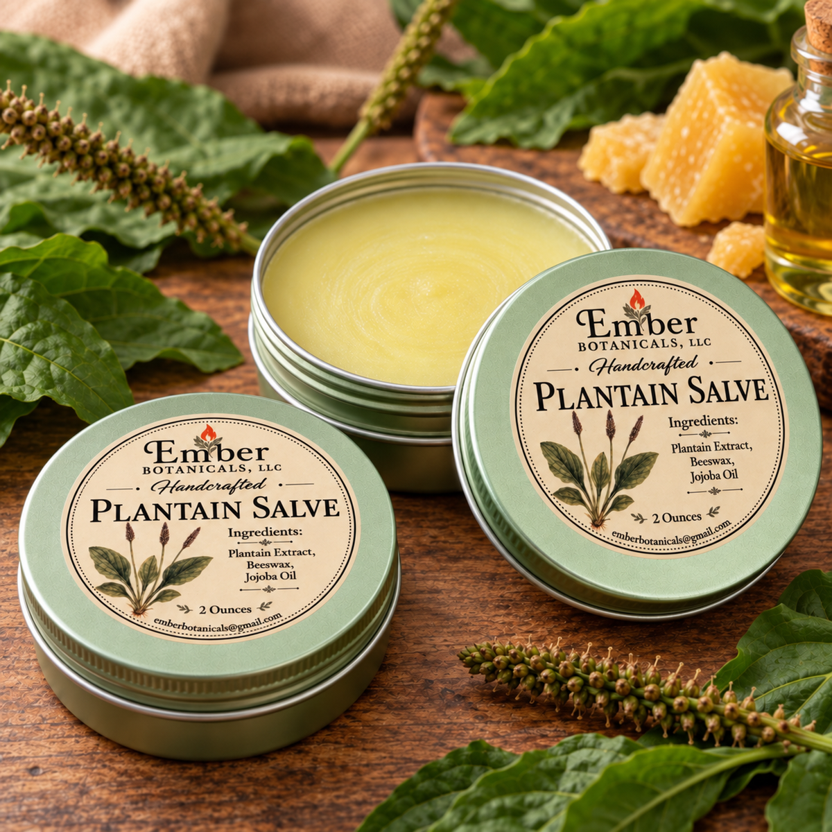 Plantain Salve – Handcrafted Botanical Skin Care – 2 oz